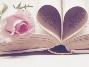 livre rose page