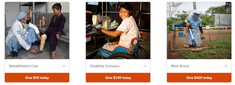 donate handicap international