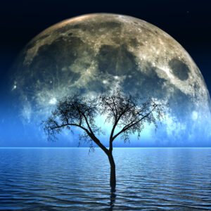 pleine lune arbre dans ocean